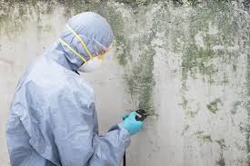 Best Biohazard Mold Removal  in Monticello, UT